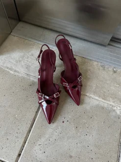 Astrid Frank Stiletter|Flora stiletter