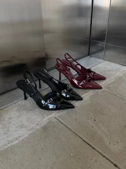 Astrid Frank Stiletter|Flora stiletter