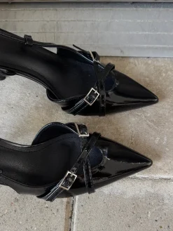 Astrid Frank Stiletter|Flora stiletter