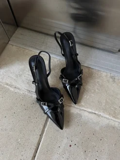 Astrid Frank Stiletter|Flora stiletter